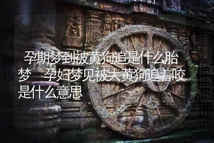 董易奇十二生肖2025运程