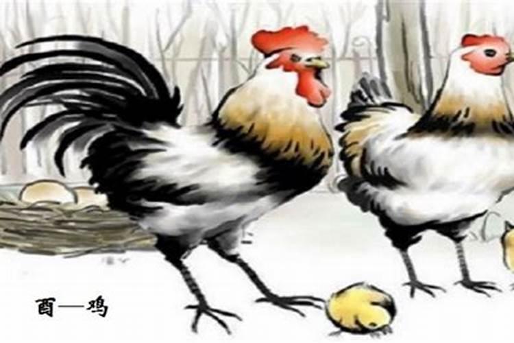 欲钱看正月初一是什么生肖？