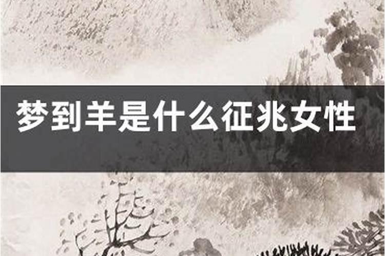 梦见狗羊是什么意思？