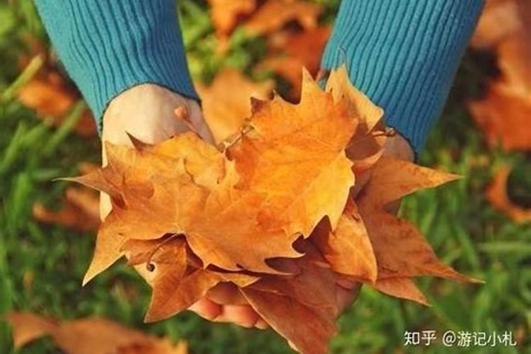 夏天过去, 在夏秋交替的季节保养爱车有什么好的方法吗