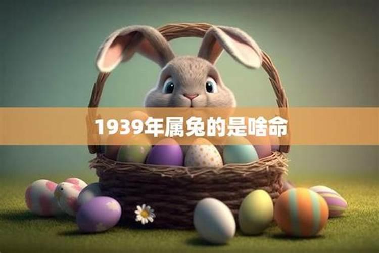 70男狗和79女羊属相合吗,狗和羊合不合？