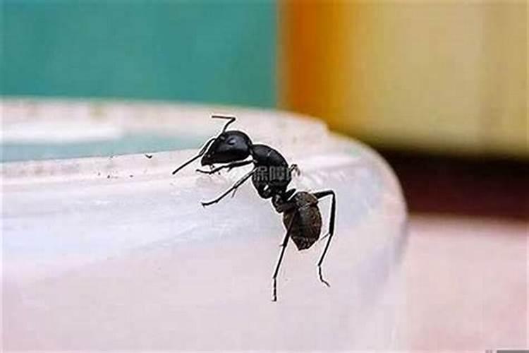 湖南省衡阳市有正一派道观吗？坐落于哪些地方？