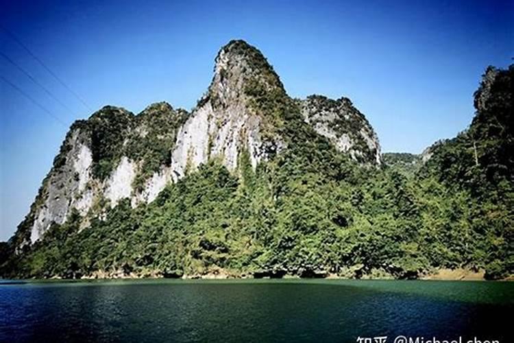 梦见乌龟和鱼