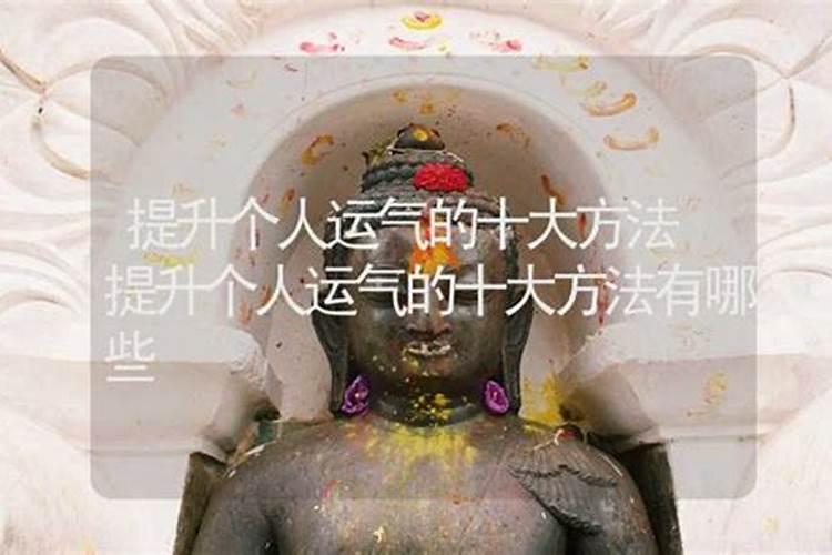 小财神属于什么酒