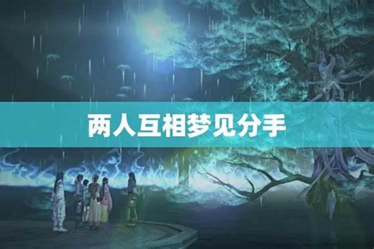九六年十二月初三是什么命