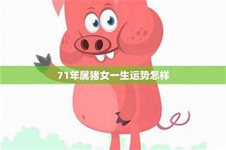 属猪男几月出生最旺