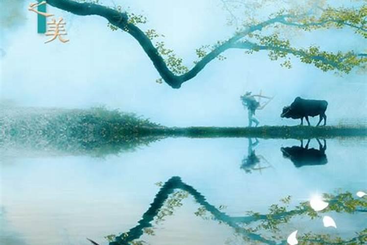 立春后什么属相最旺