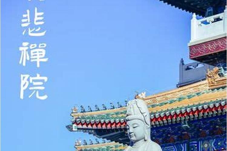 第一运程2025年4月20号属龙人打麻将财运