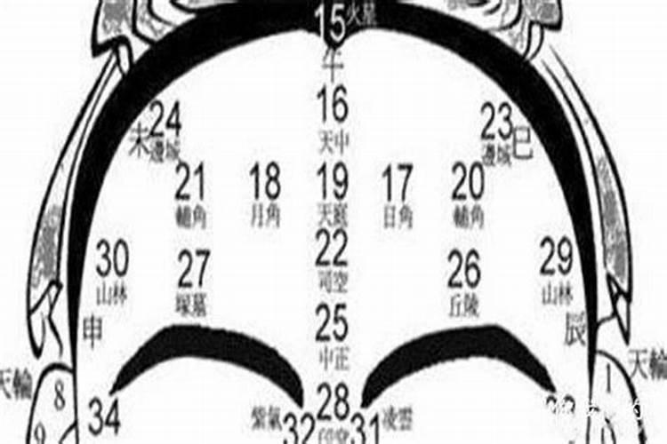 乾造:乙丑、丙戌、甲辰、乙亥。