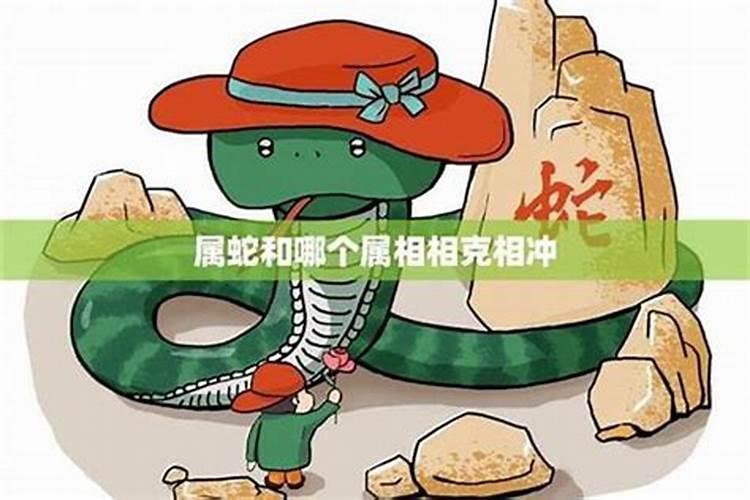属马女几月出生最有福气