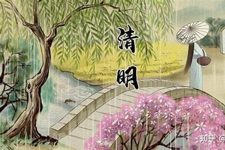 清明放生的意义
