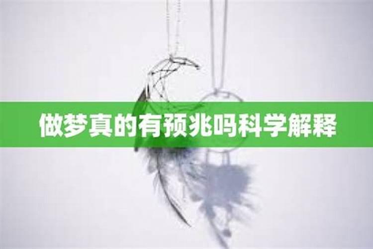 梦见蛇游到家门被自己赶走的预兆