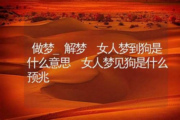 梦见狗是什么意思周公解梦