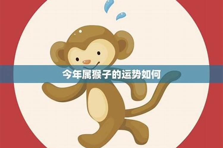 七星鲁王宫密室逃脱攻略