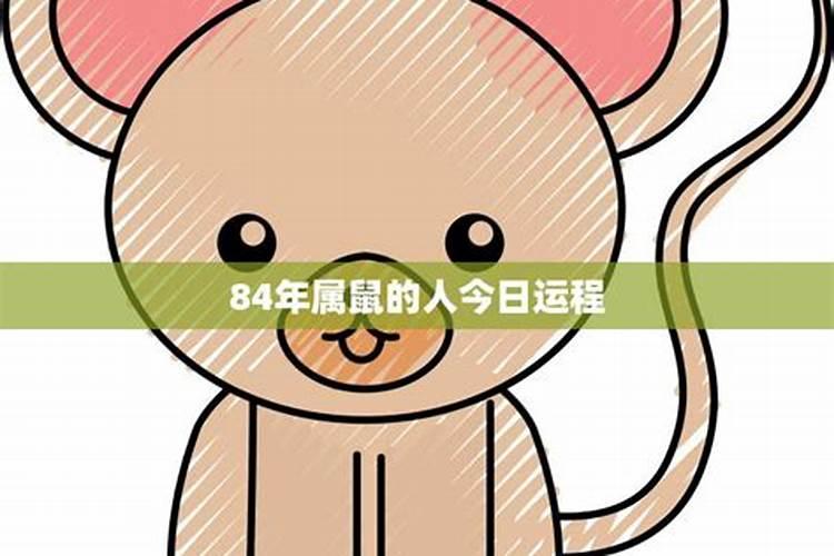 冲太岁是什么意思