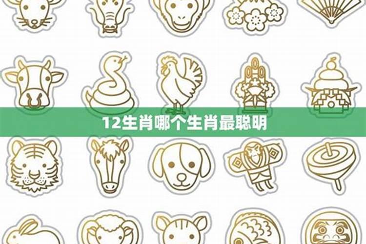 冲太岁是什么意思