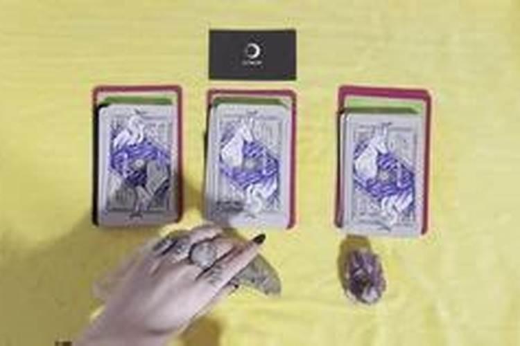 梦见恶狗咬但是没咬到