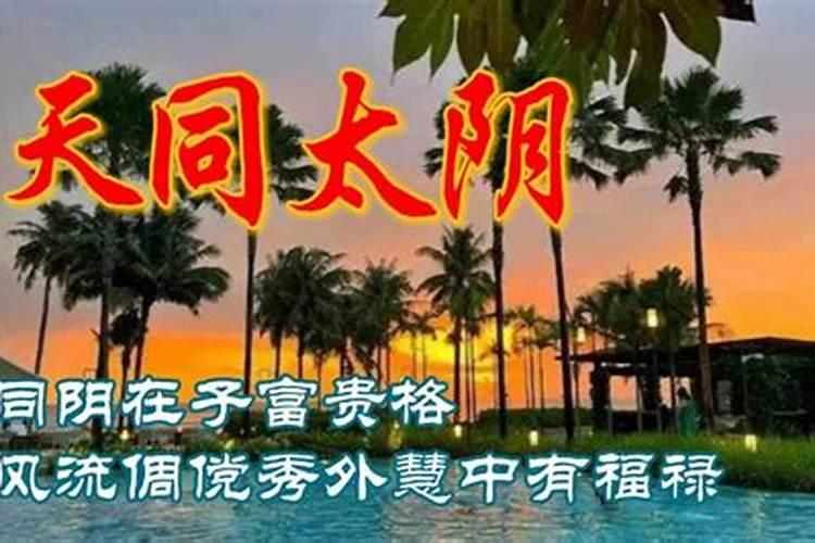 1995年属猪的2025年运势