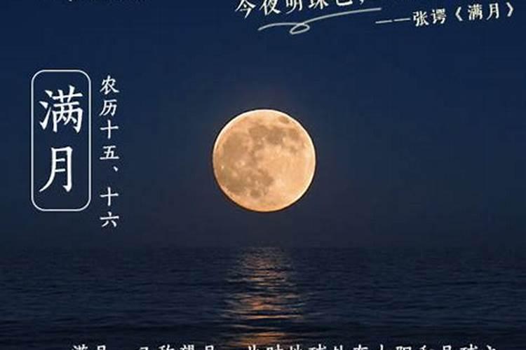 2025属蛇本命年运势怎么样