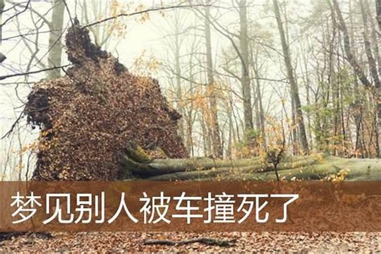 农历1994年12月21日 是什么星座？ 什么生肖？