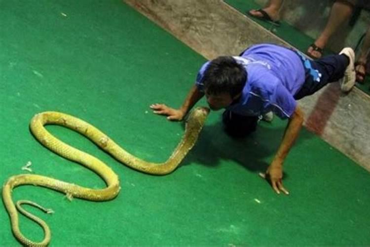 生肖牛男最佳3对婚配,属牛男的最佳婚姻配对