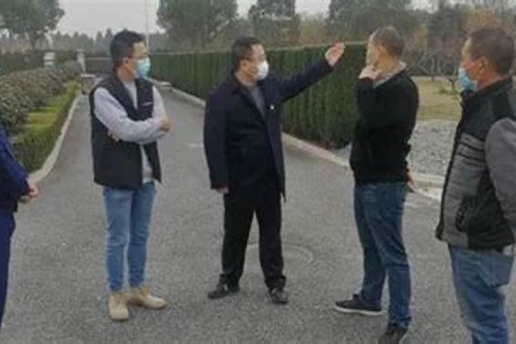 梦见牛顶人还追人什么意思