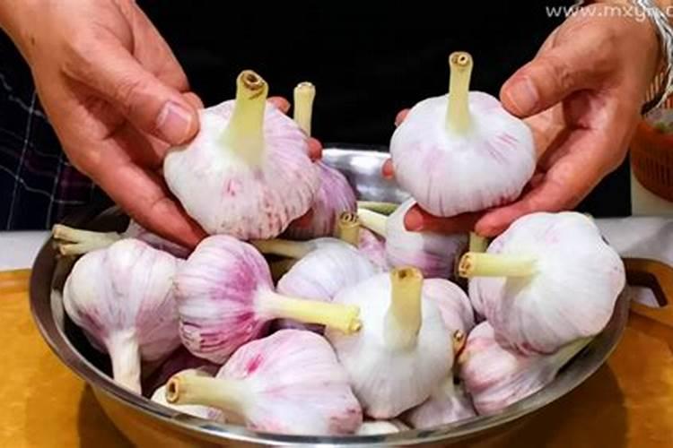 排列一四重合数是什么肖