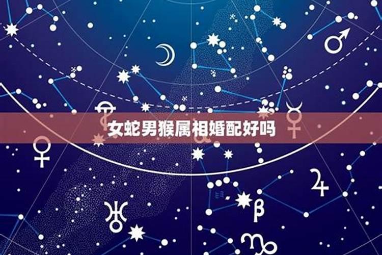 开财库和补财库的区别