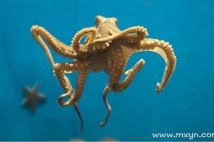 梦见自己从海浪中逃脱的预兆