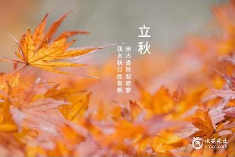 24年立秋是几月几号几点几分