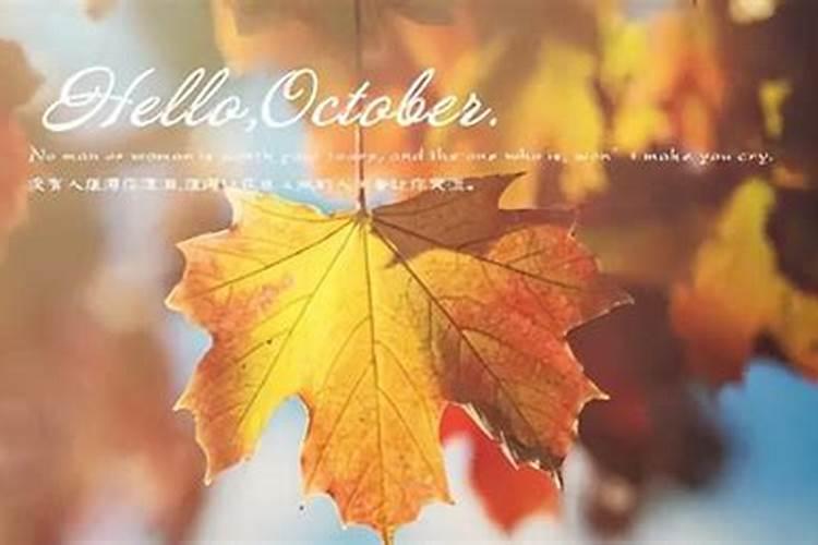 我90年11月初2属马,请问我这辈子还有姻缘吗？何时才能结婚生子？何时能有...