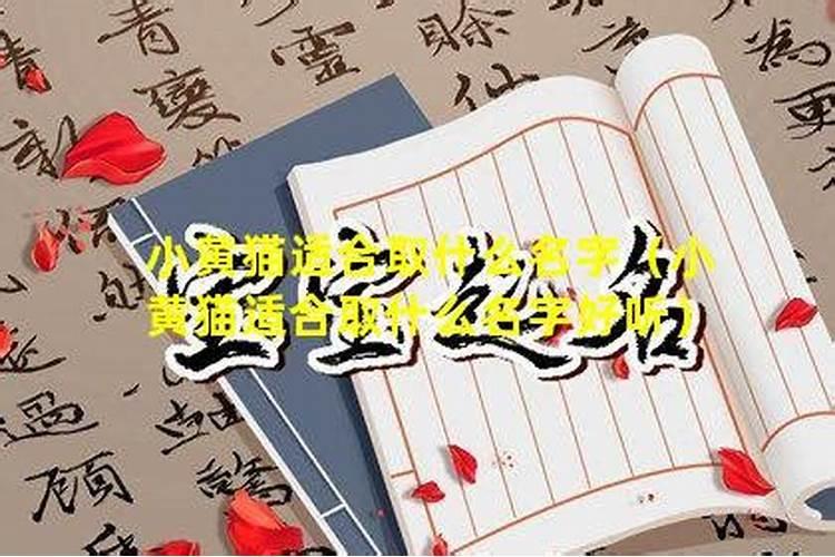 如何对付小人？