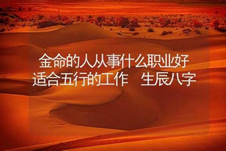 梦见大白鹅什么意思