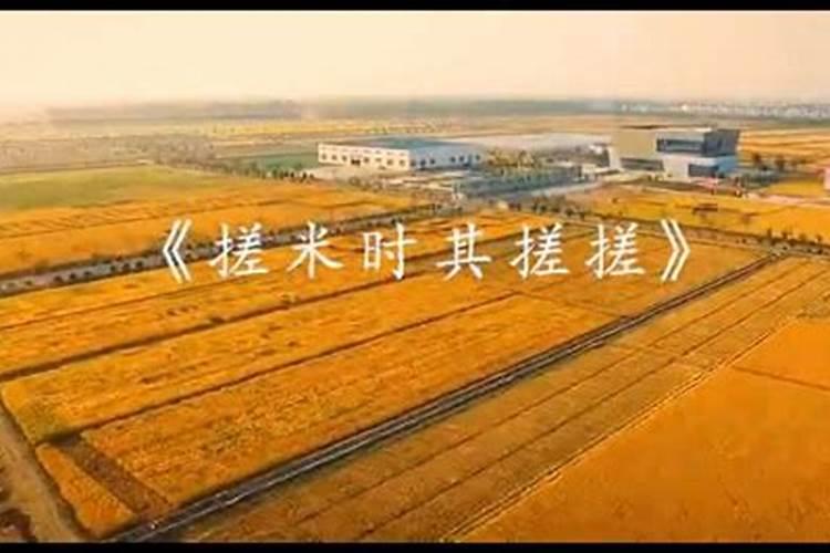 福州冬至有哪些习俗福州冬至有什么传统