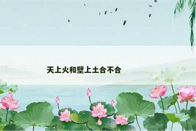 天上火命和什么命最配