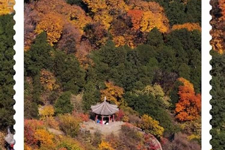 2021北京重阳节适合老人去的地方
