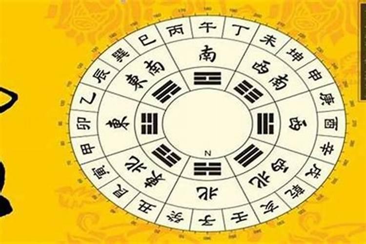 伤官坐正财是什么意思