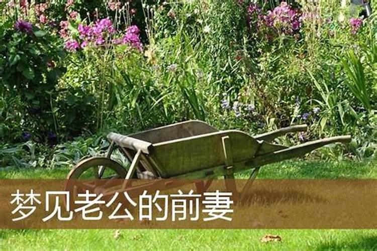 属羊男人和属猪女人相配吗