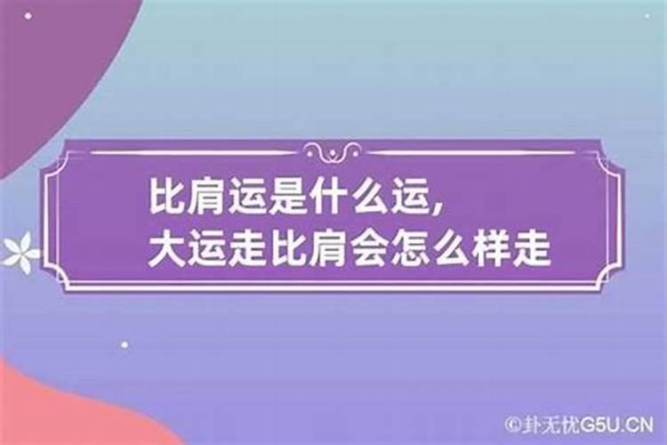 比肩 劫财 枭神 正印 七杀 正官 偏财 正财是什么意思