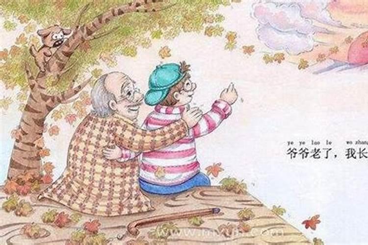 属虎的2025运势怎么样