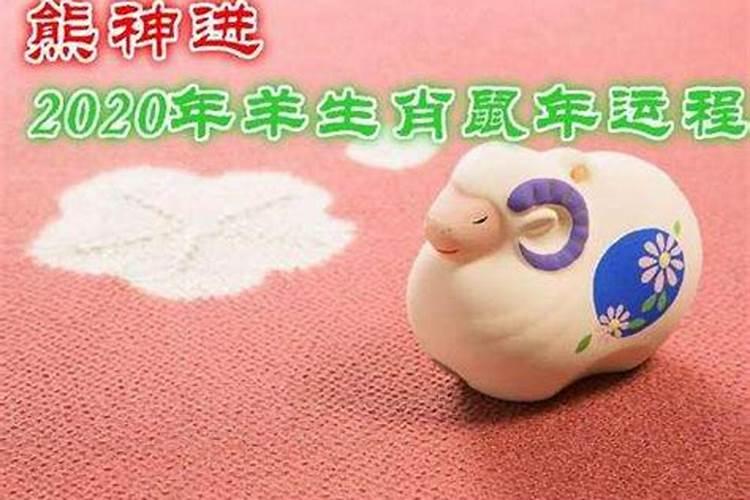 属羊遇鼠年好吗