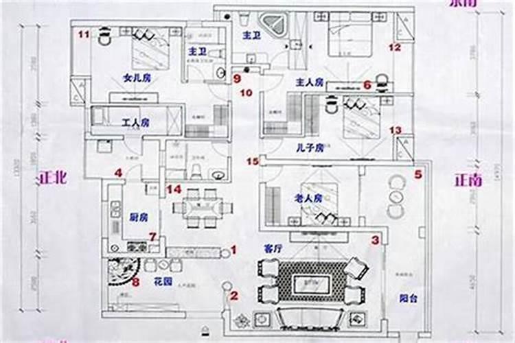 中元节和七夕,哪个是中国的传统情人节？
