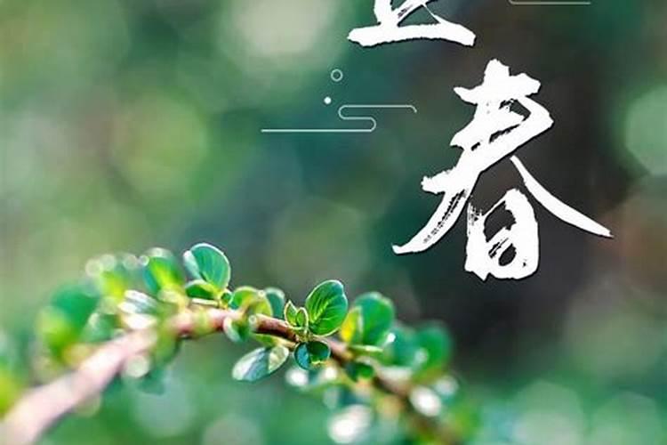 2025年立春要注意什么