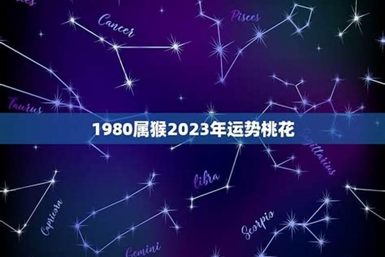 梦见两只乌龟在水里游的预兆