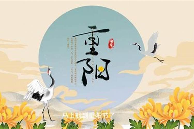 重阳节的来历和风俗？重阳节的意义