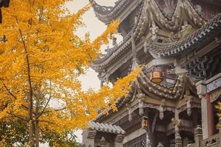 您好:请问在东天目山昭明寺,怎么为堕胎的婴儿超度,如何收费？