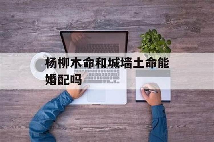 属狗的人2017年害太岁需要注意什么,如何化解