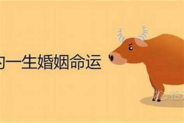 2021年属狗刑太岁怎样化解 需求留意什么？