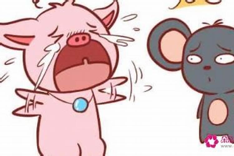 考试时戴什么寓意好提升考试运气佩戴什么