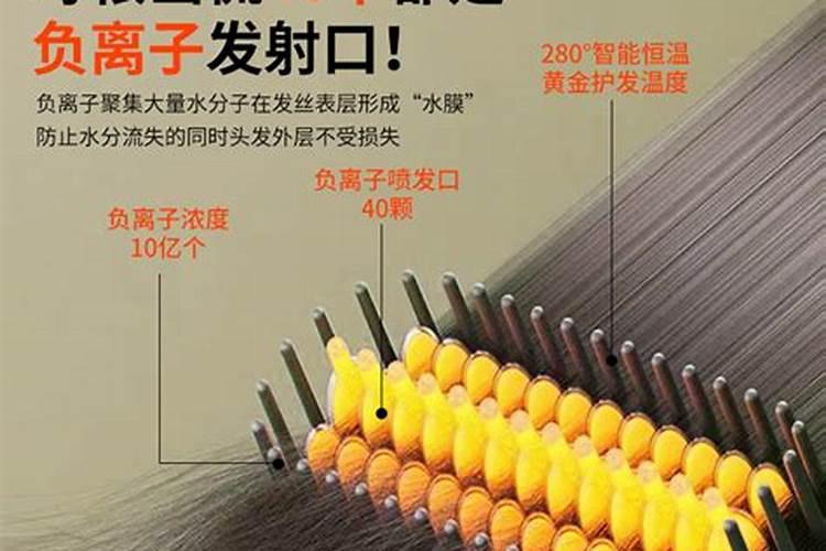 石太岁的鉴别方法石太岁怎么鉴别